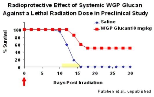 ����ĸ�Ͼ��ǵĿ���������