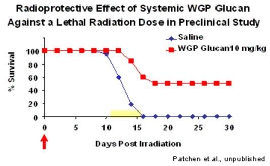 �Ͼ����к�ǿ�ķ���������