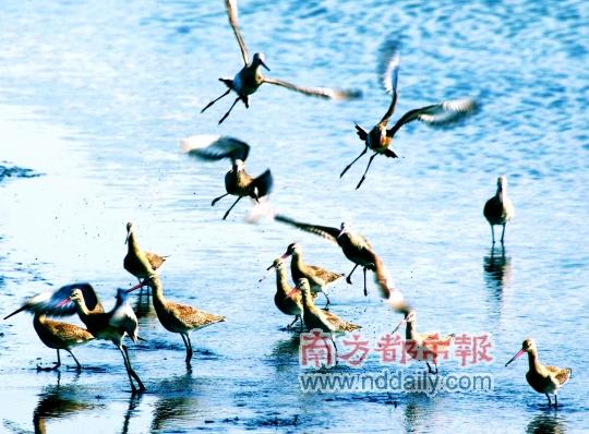 ��Ī������̲Ÿ��