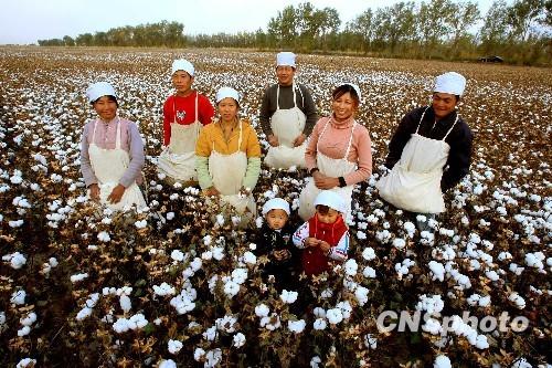 300������޹��½����Խ�5�곬����