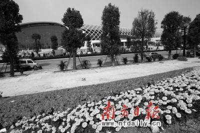深圳湾体育中心周边景观提升基本完成