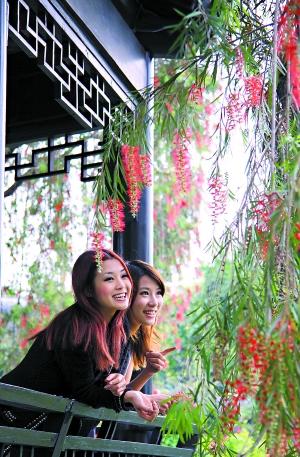 �滨����������̤��۾�ӭ����