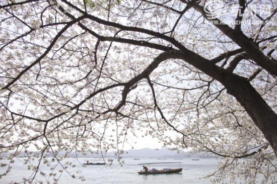 �����ߴ�˵�еġ�ӣ����������