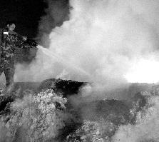 ����۸�û̸£