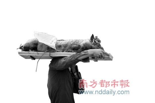 �����������Ǽ�˳��������΢��׬ߺ��