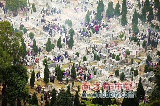 2正清日,合罗山公墓迎来祭拜高峰.