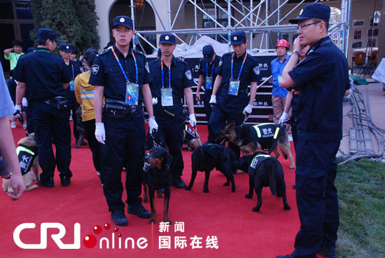 安保人员全力以赴保运行