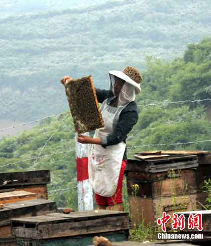 汶川地震 人口迁移_汶川地震图片 5.12那天两万人转移到山上(3)