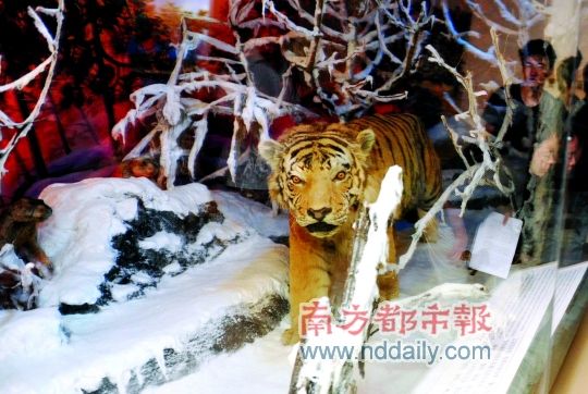 ˳��Ŭ�������