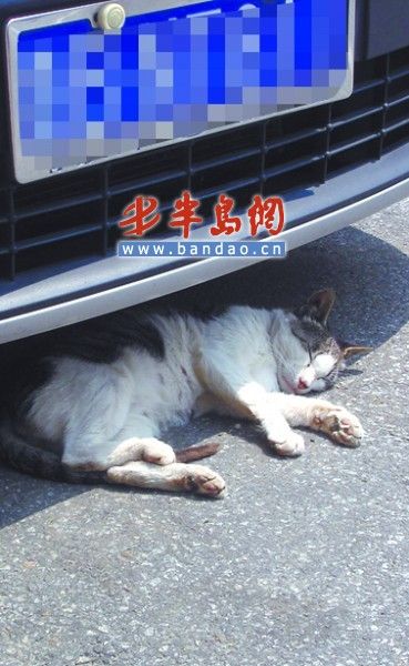 Сè����������˯��