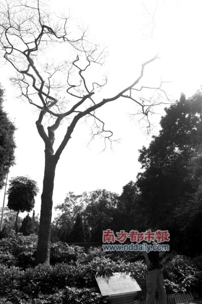 年事已高病愈不易_新闻中心_新浪网