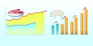 国家促进生猪生产补贴政策