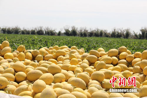 �½�����"�й����֮��"�ٰ��׽�����Ļ����ν�