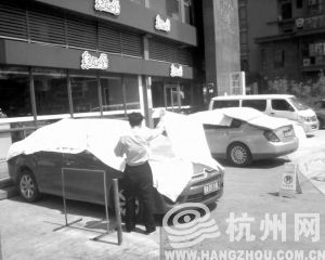 ��������һ�ֻܸ������ֵ��ĵ��ѵ���
