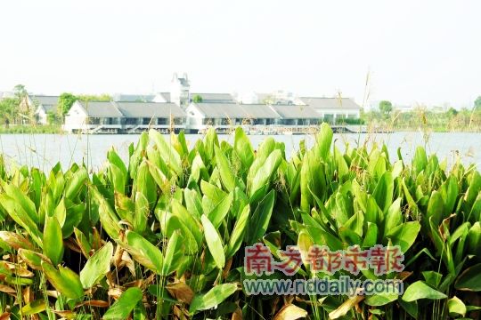 ���ƺ���ʮһ���ѿ���