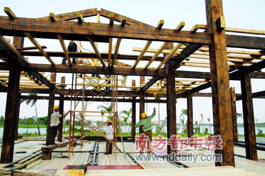 ���ƺ���ʮһ���ѿ���