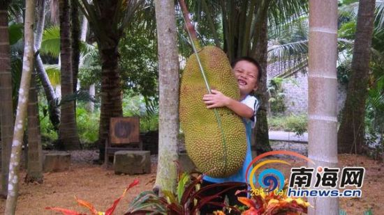 ������3���䲤�������ᡰ�޹�����50���0.7��