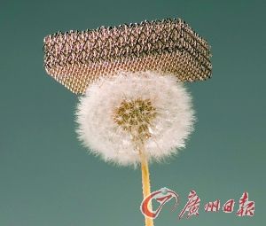 最轻金属材料问世蒲公英都扛得起_新闻中心