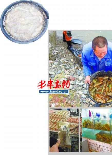 比较便宜的海参价格表 1322584237_VTQren.jpg