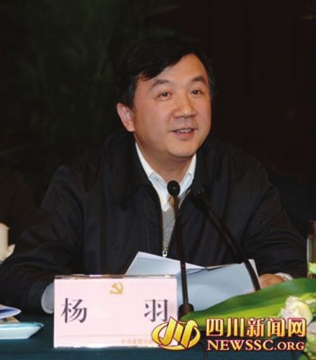 新都区委书记杨羽:打造千亿园区争做竞飞主力