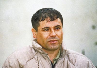 ����Ա��ī���綾�ɹ�����Ϊ������������������