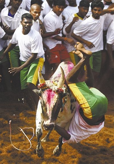 ѱ��ţ�����