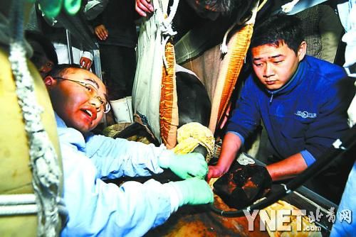 ������������ȡ��