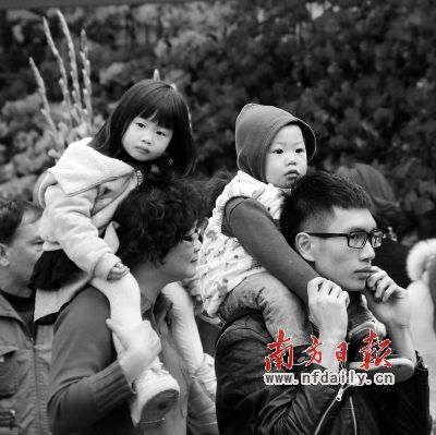 广州花市首日迎客161万