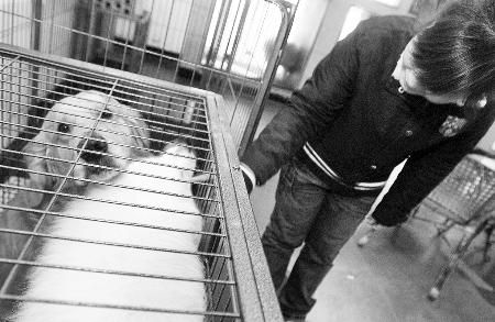 ���ڴ�������"������"��������ʱ������ǩЭ��