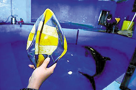 ��������������θ��Ѱ������ʩԮ��