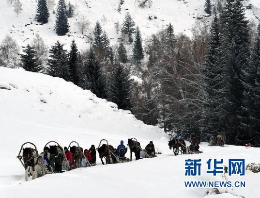 ���������ν⣿������ѧ��˵����һ