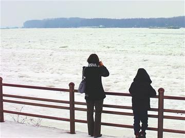 ŷ�޼����춳�������