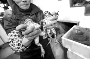 ���ܣ�ţ�ܣ�