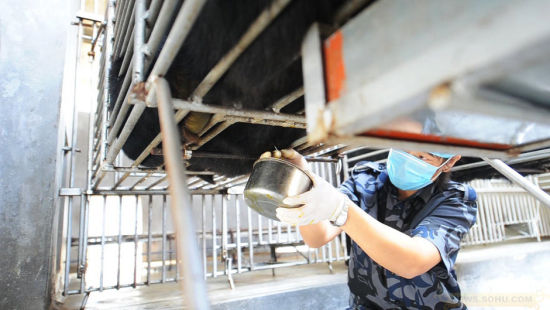 归真堂回应"取胆真实性"质疑将调整开放日安排