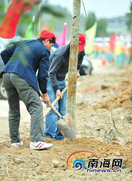 义务市人口_...级百人文化市场义务监督员队伍组建成立-文化信息网--详细信息(2)