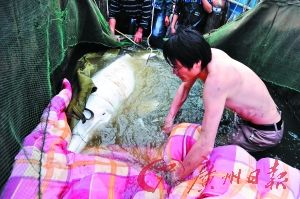 ����ӿ�������׺��࣡