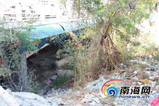 ����ǿ��4����ռ�ӵ�Υ�����4000ƽ��