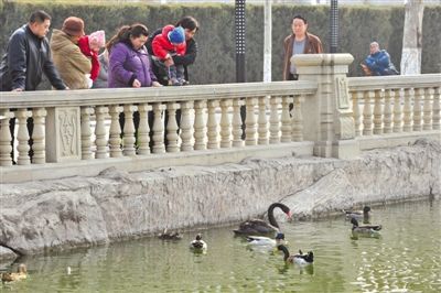 4ֻ���������������