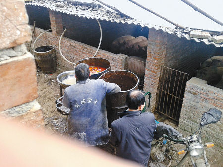 商洛郊区“泔水猪”调查