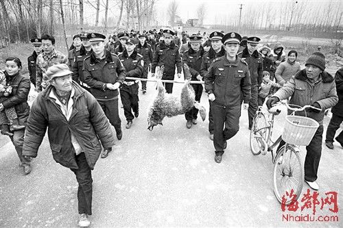 ��ׯ�����Ϯ��2��5�˰�������׷20����е�һֻ