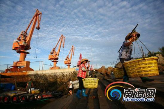 2012�������趯��Ŀ������ͷ���ٶȡ���������