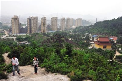 中国城市的集体田园主义