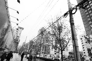 ���¡�ѹ������Ȫ·�������������ˡ�