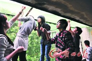 ��è�����ضȾ�ϵ��O����