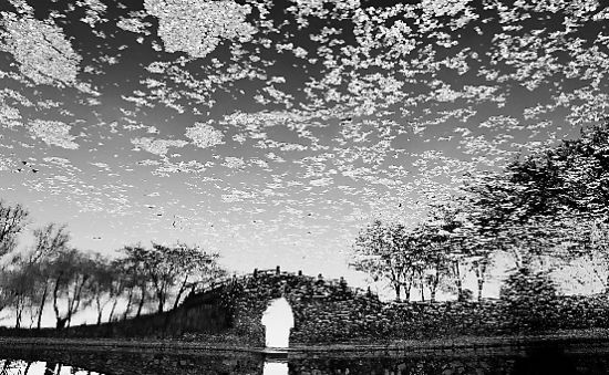 ̫��ӣ����ˮӰ����