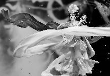 �Ļ�����