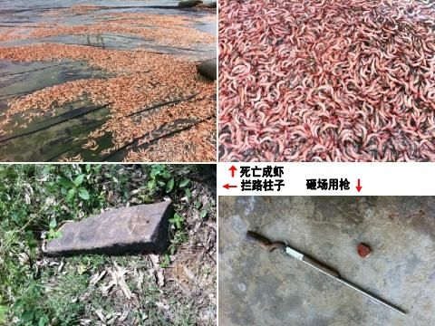 �㶫տ��һ̨��ǧĶ��ֳ�����ǹ����