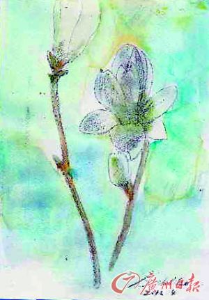 �ձ���ʮ�����š����������ͷ�˿��