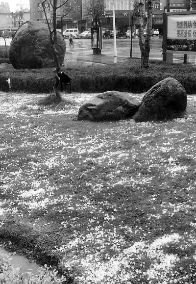 ���Ҵ��ͻϮ����������Ϫ