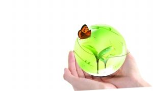 江门,绿色行动高潮迭起